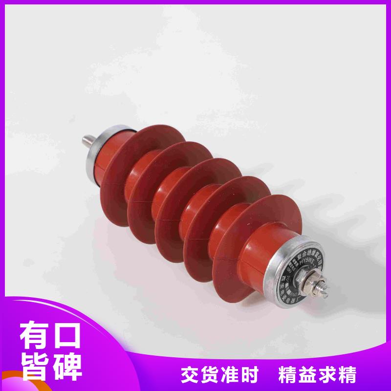 电站型氧化锌避雷器避雷器HY10WZ-102/266同城制造商