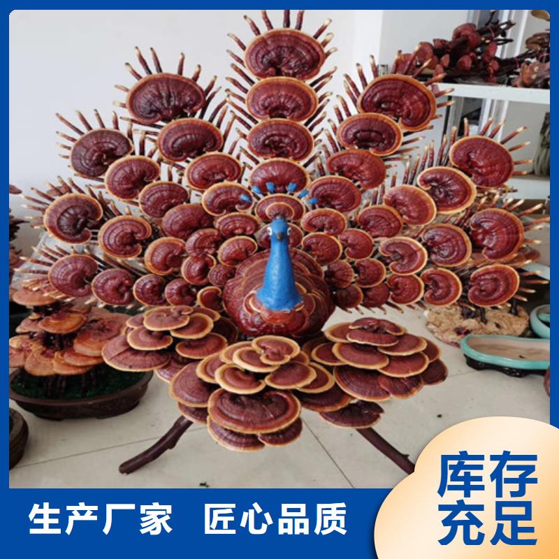 畸形灵芝加工销售品类齐全