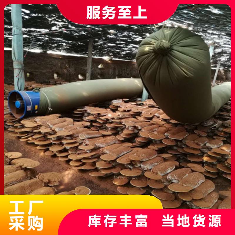 
灵芝粉高端定制品类齐全