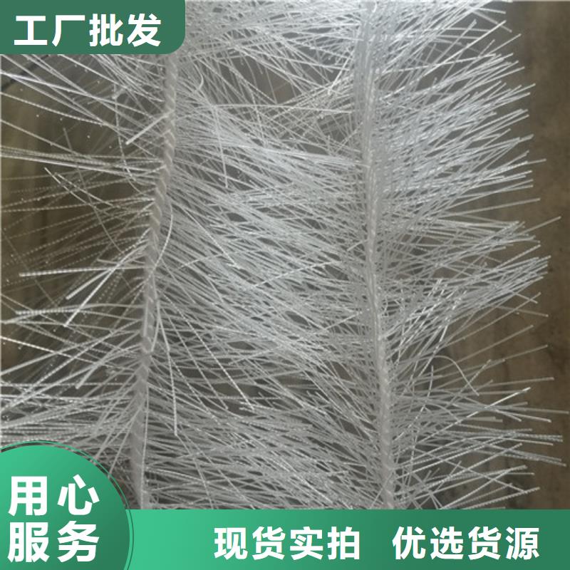 弹性填料挂膜迅速安心购