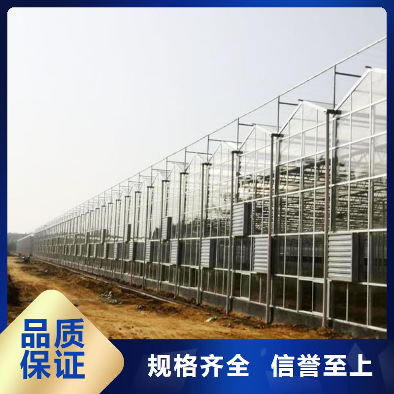 墨竹工卡连栋温室大棚规格2025源头直供