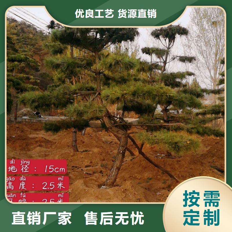 造型迎客松材质本地供应商