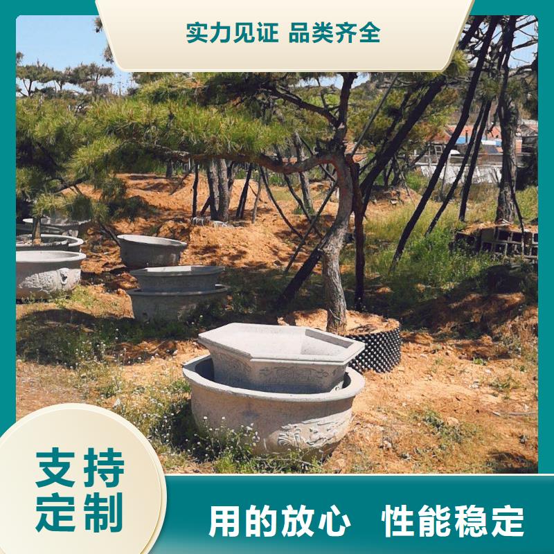 泰山松基本介绍本地货源