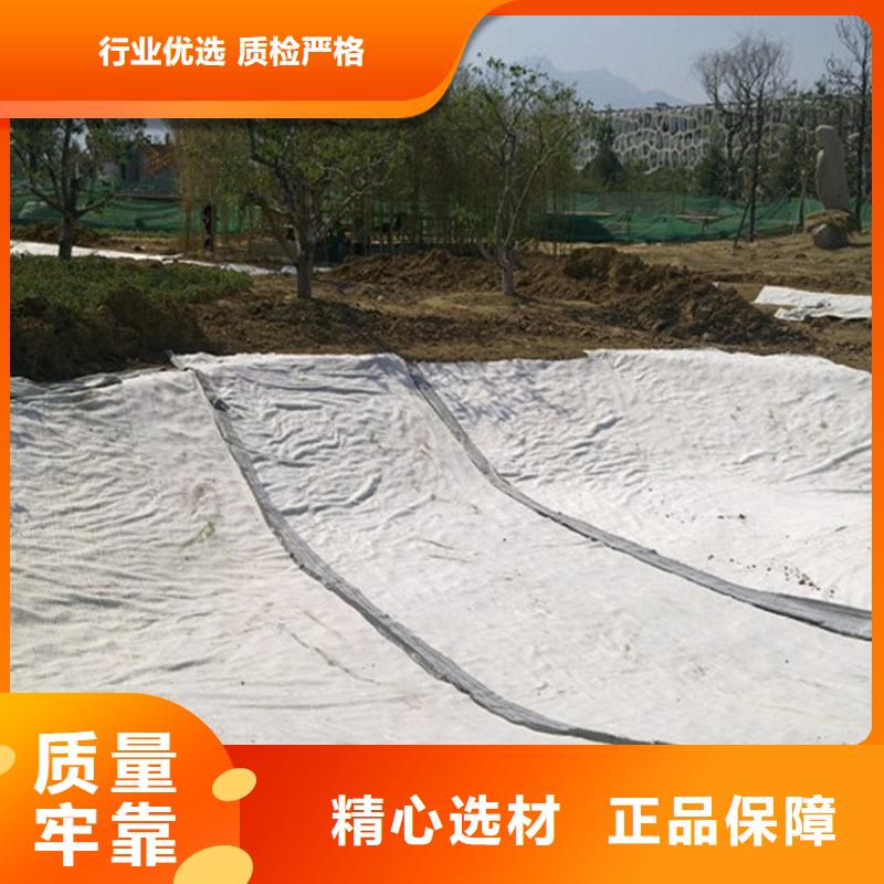 钠基膨润土防水毯生产基地哪里有？同城品牌
