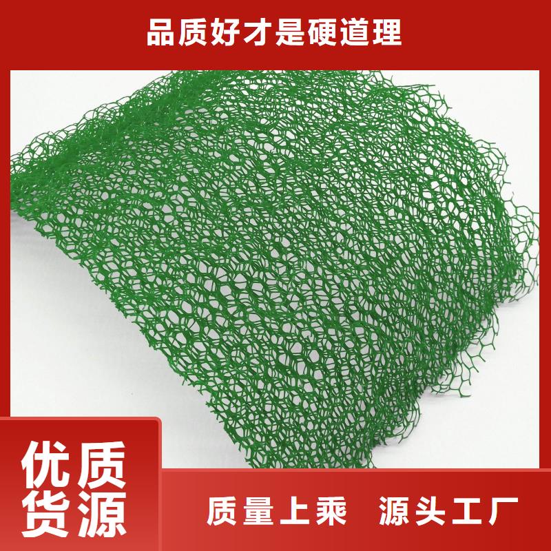 绿化环保三维植被网多少钱一平方？厂家技术完善