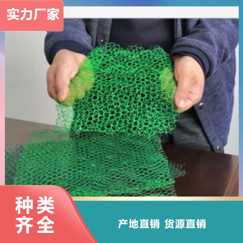 护坡固土植被网免费寄样/提供检测厂家大量现货