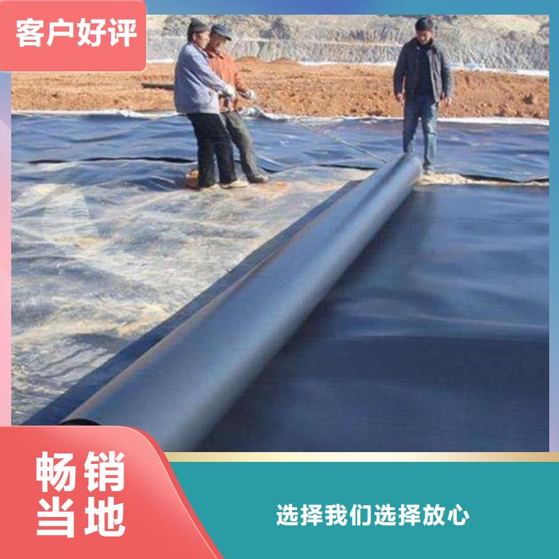 垃圾填埋场土工膜垃圾覆盖膜生产厂家满足多种行业需求