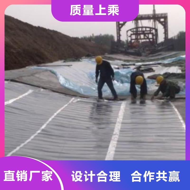 尾矿库底衬防渗用土工膜当地生产厂家