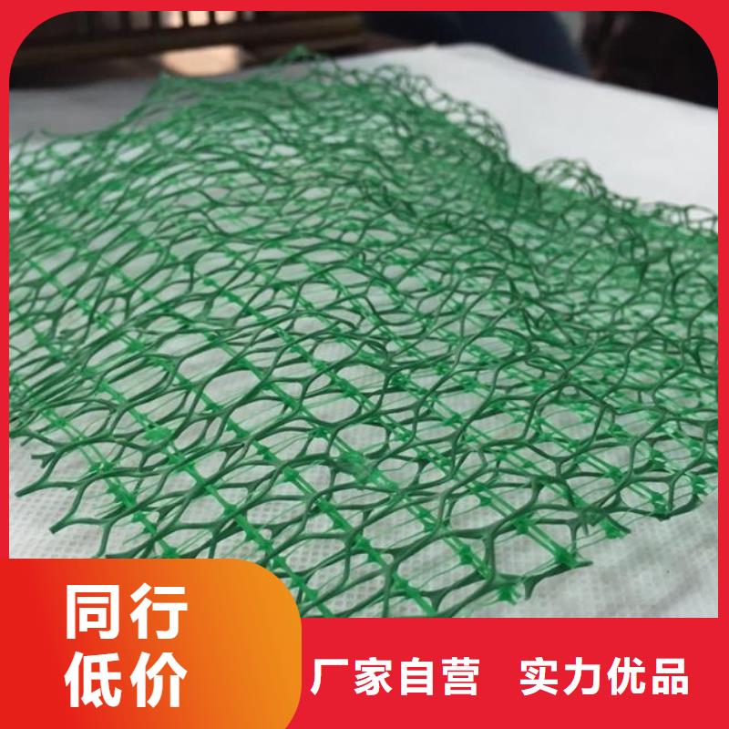 三维植被网厂家供应供应三维网严格把关质量放心
