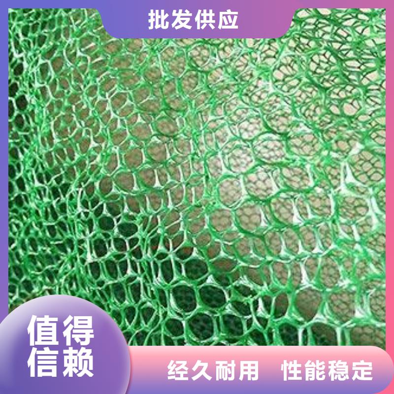 三维植被网厂家供应品质服务诚信为本