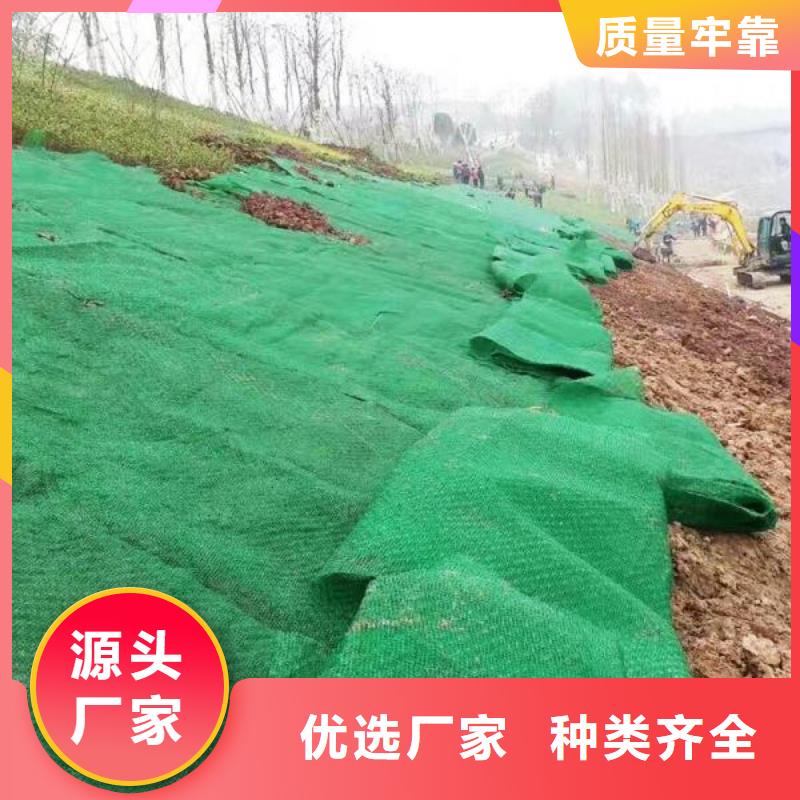 三维土工网垫价格货源充足