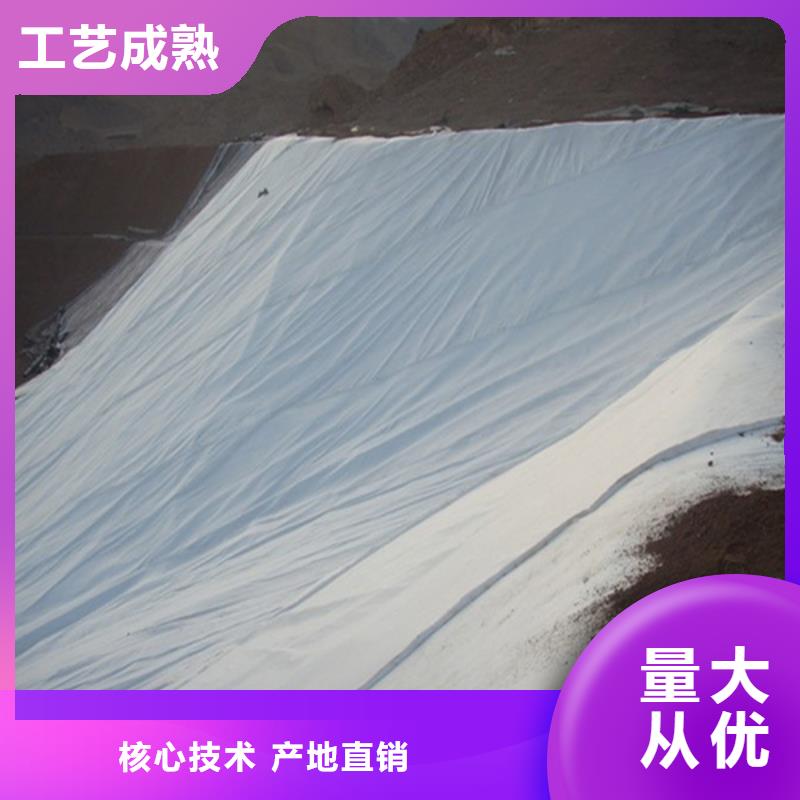 防水土工布信息同城制造商