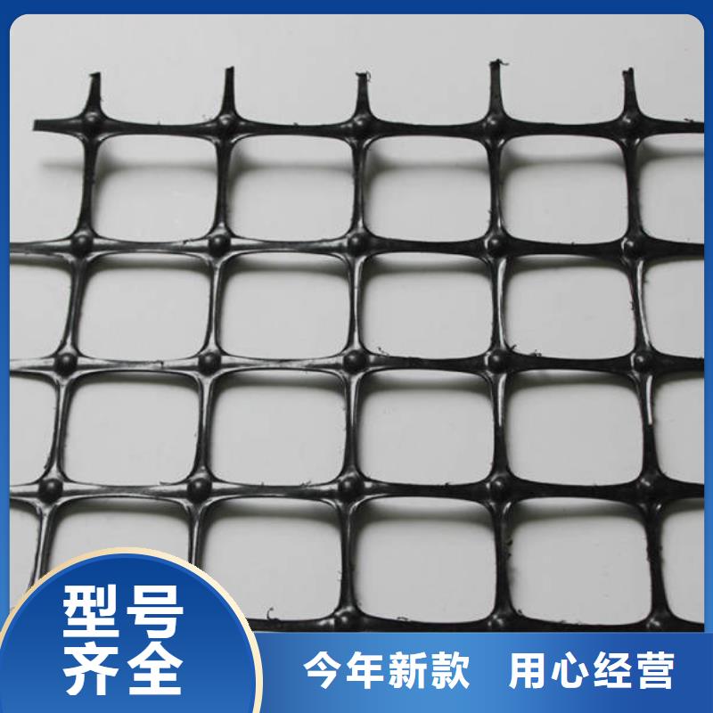 土工格栅单向土工格栅-边坡防护-挡土墙产地源头好货