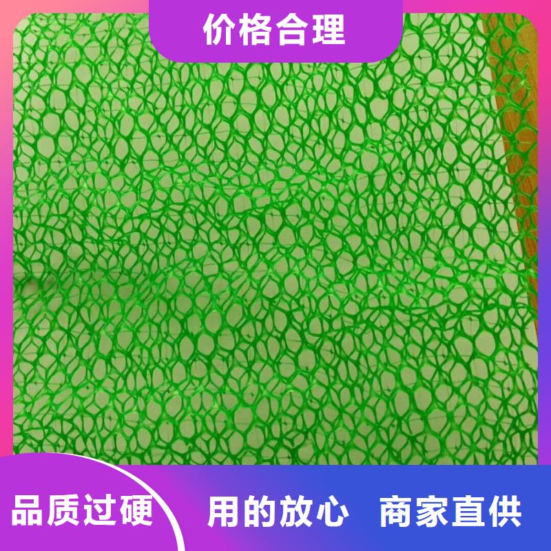 EM3三维植被网哪里有卖？-厂家地址厂家直销省心省钱