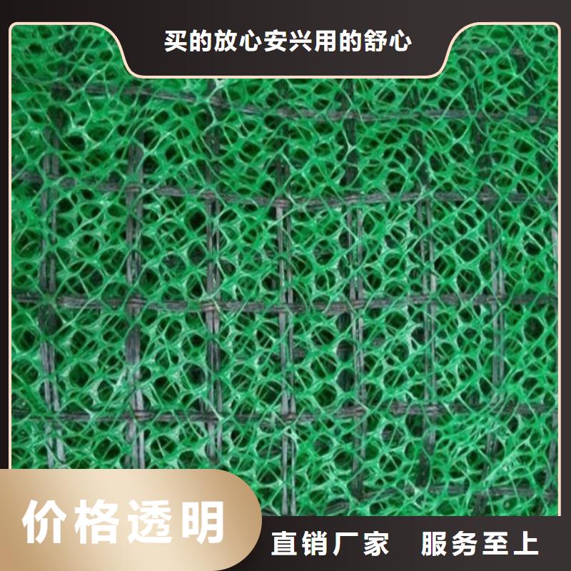 三维植被网生产厂家-2025年新价格行情当地厂家