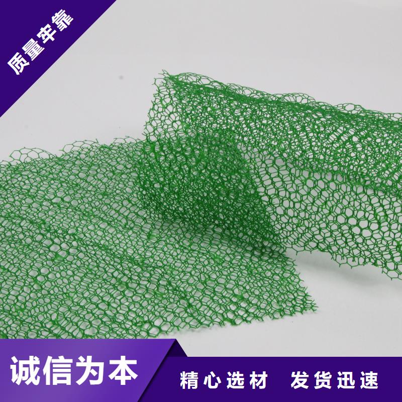 维植被网植草护坡施工方案三维植被网生产设备厂家_报价多少钱？准时交付