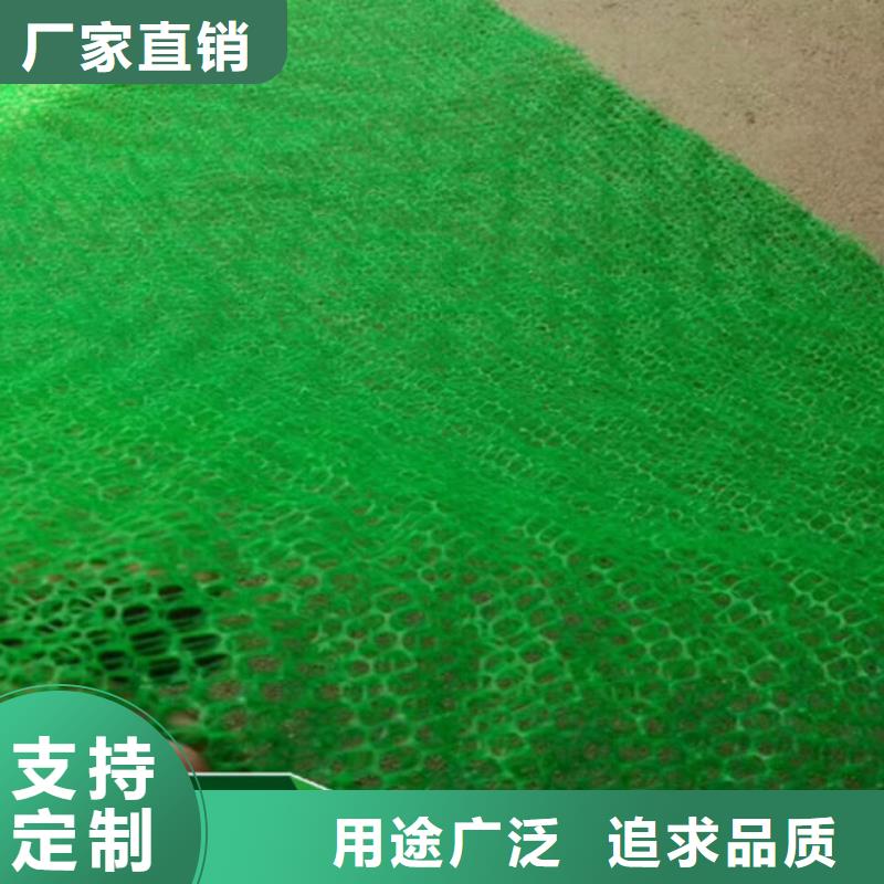 三维土工网垫_三维植被网有限公司报价闪电发货