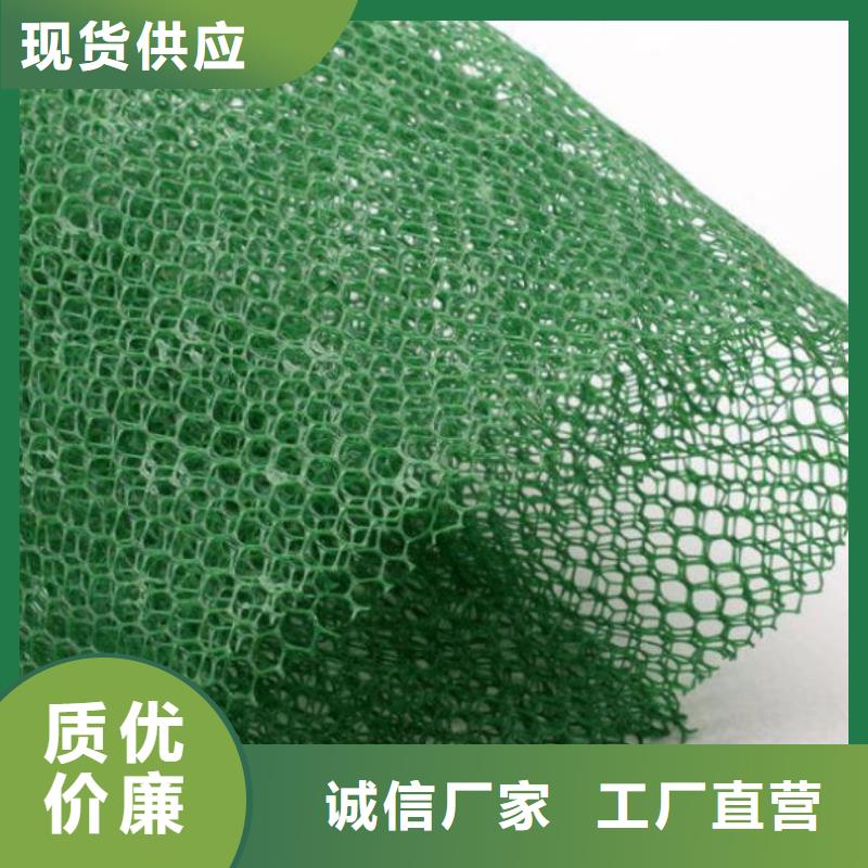三维土工网垫价格信息-三维土工网垫生产厂家性能稳定