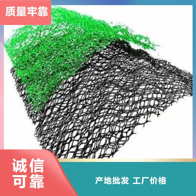 公路护坡三维植被网批发生产本地生产商