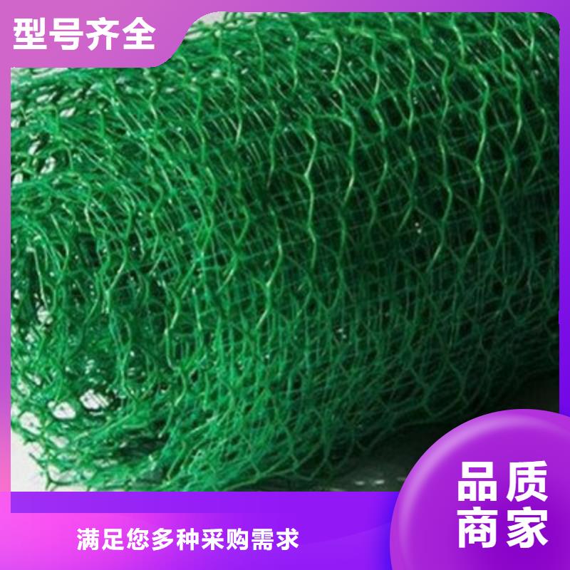 三维植草网——三维植被网批发厂家_欢迎咨询本地生产商