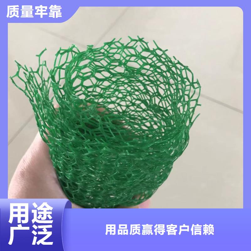 三维植被网生产厂家-2025年新价格行情型号齐全