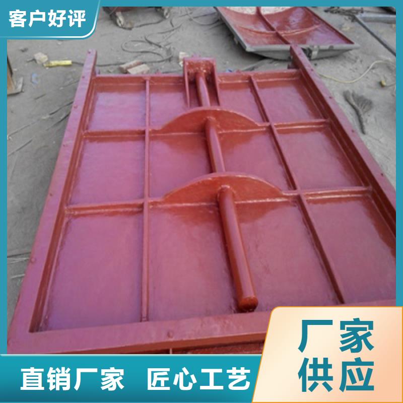 镶铜铸铁闸门源头厂家工厂采购