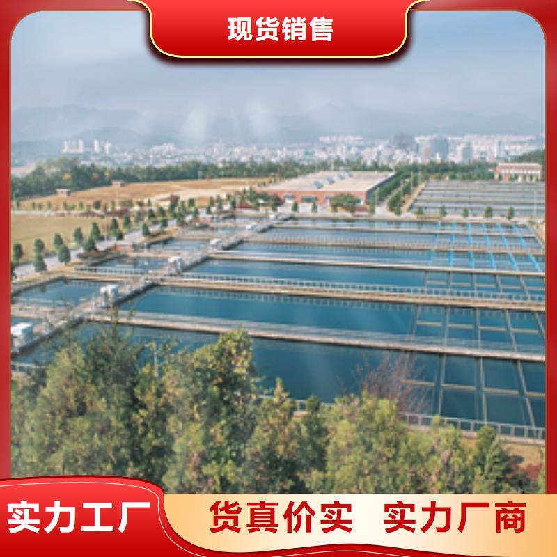聚丙烯酰胺600万分子量本地生产商