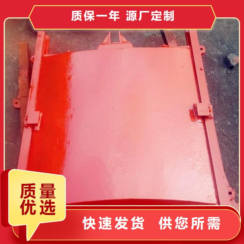 桑植拍门现货供应支持货到付清