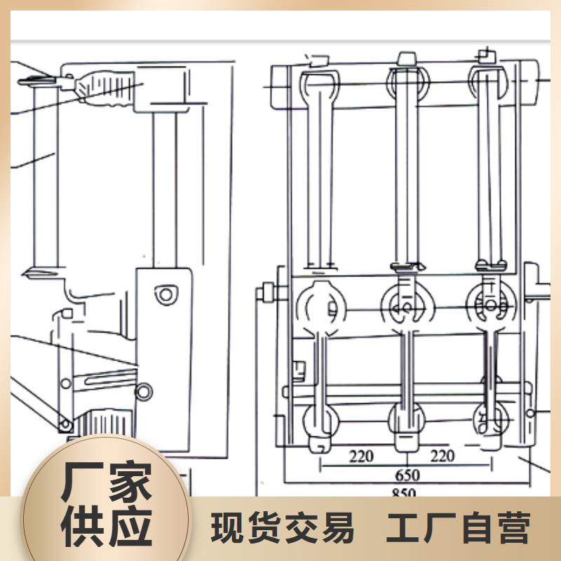 ZFN16-12/630-D高压负荷开关匠心打造