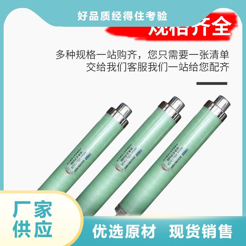 XRNP1-12KV/1A高压PT熔管同城厂家