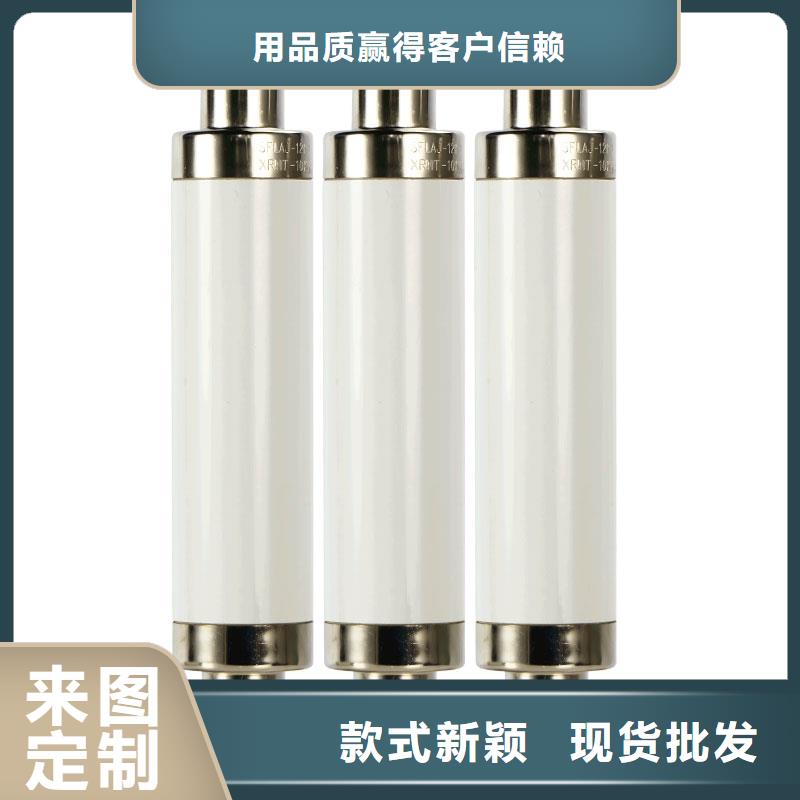 XRNP1-40.5/2A熔断器樊高大厂家实力看得见
