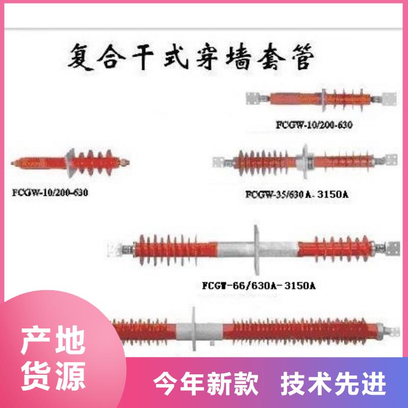 CWW-40.5/1250A-4高压套管说明当地供应商