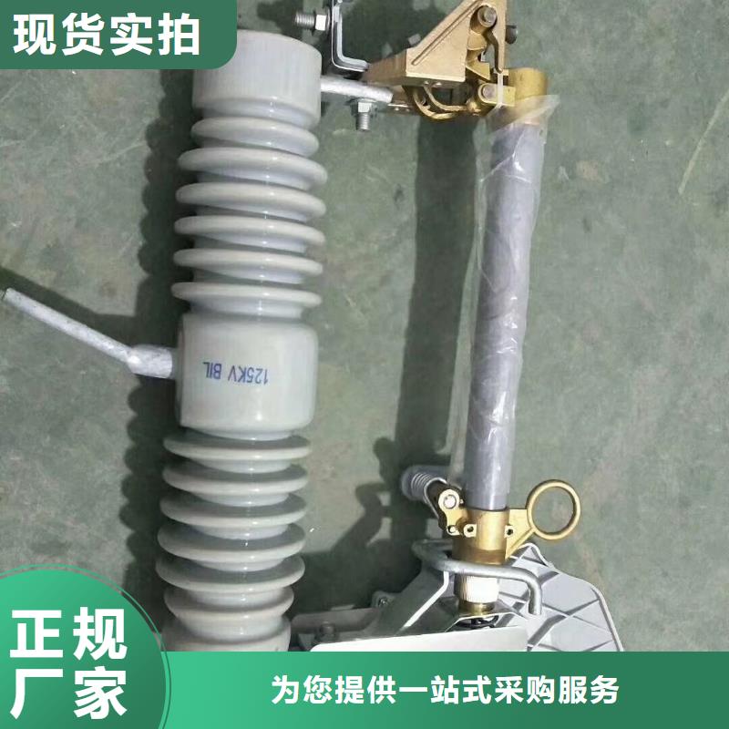 BRN-10/150A开关柜PT管检验发货