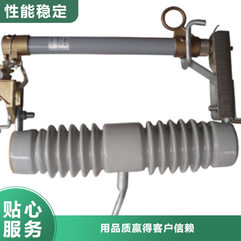 XS-12/100A跌落式熔断器樊高支持定制