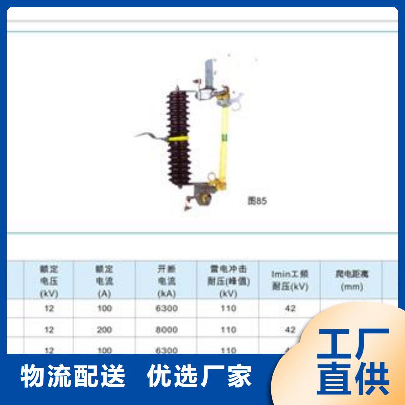 XRNP-12/0.2A熔管精工打造