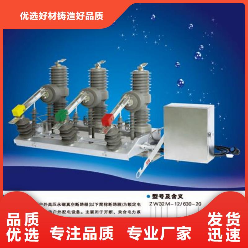 ZW43A-12/T630户外柱上断路器本地货源