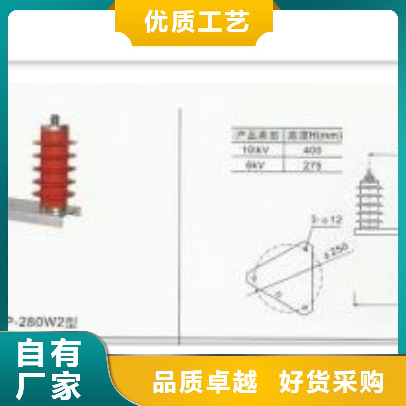 TBP-A-7.6F/120组合式保护器客户信赖的厂家