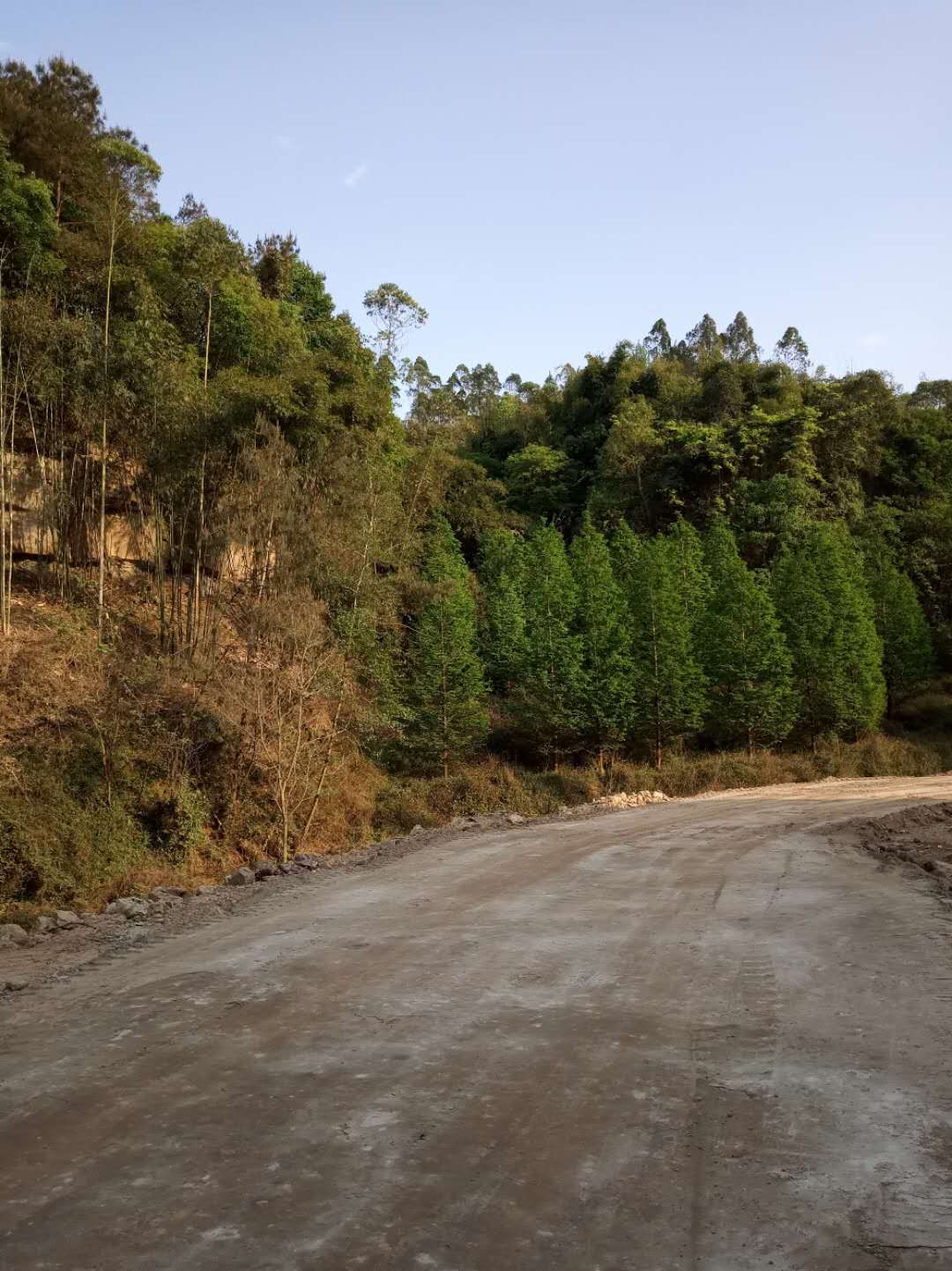 软基道路固化淤泥就地固化剂查看本地生产厂家