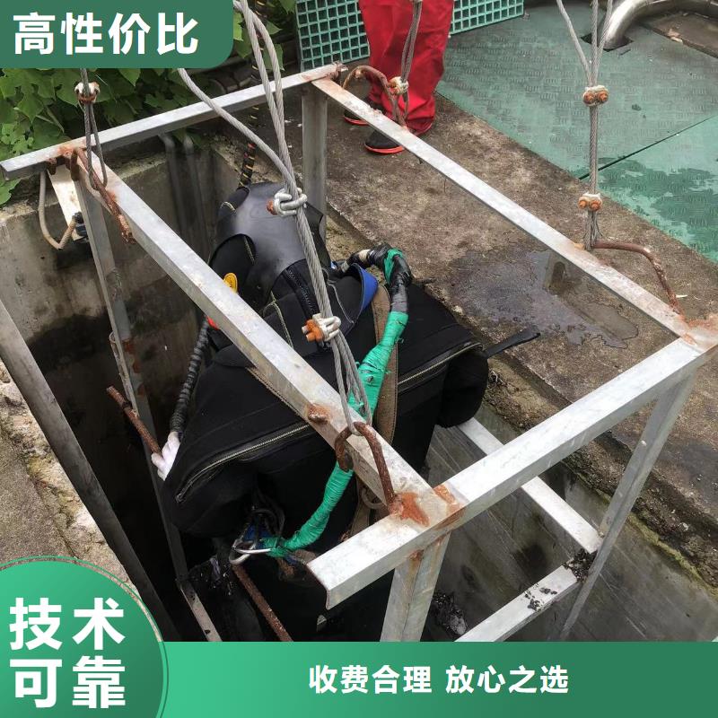 水下摄像录像拍照公司_盛龙水下工程有限公司同城货源