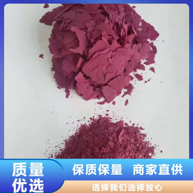 紫地瓜苗图片价格实在