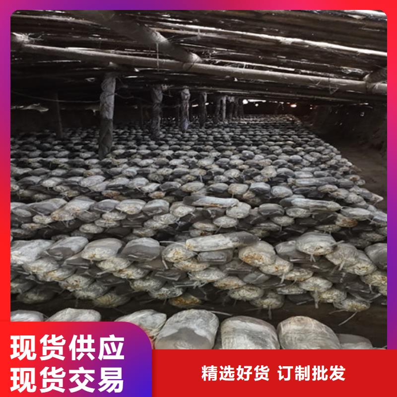 ​采购
灵芝粉必看-售后保障定制速度快工期短