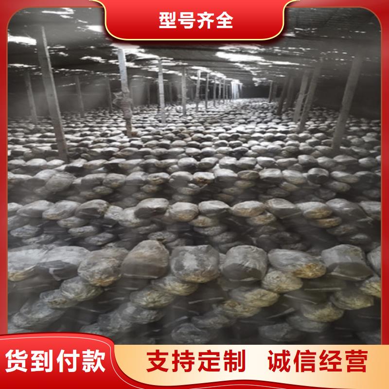 生产灵芝超微粉
的生产厂家不断创新