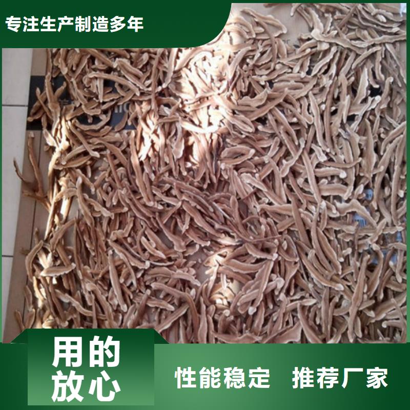 
灵芝孢子粉批发当地供应商