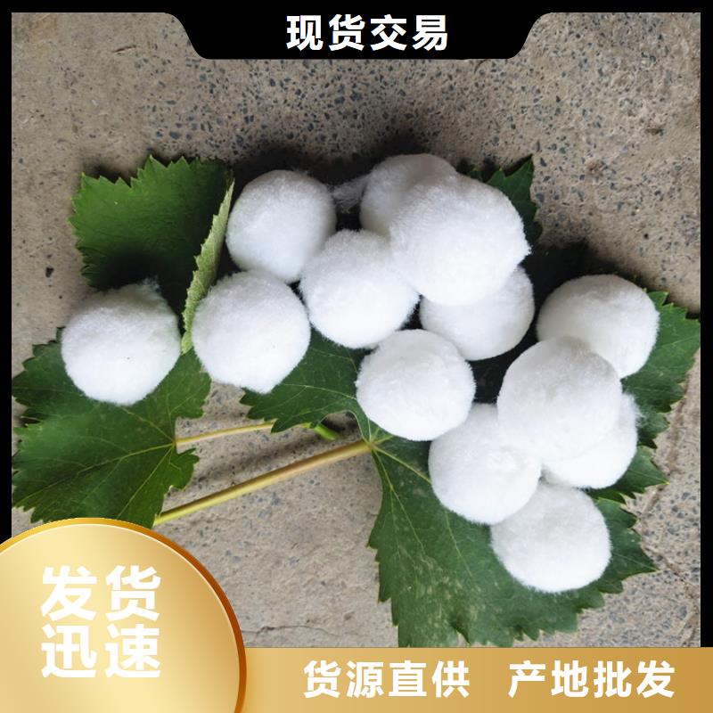 陵水县纤维球滤料种类齐全支持定制批发