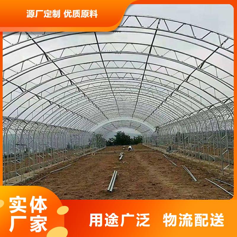 泸溪县蔬菜大棚购买当地品牌
