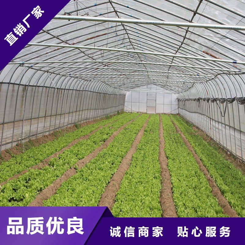 黄圃镇消防镀锌钢价格厂家货源稳定