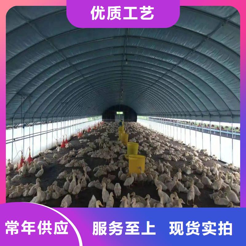 龙山县连栋大棚钢管厂家实体厂家用心做品质