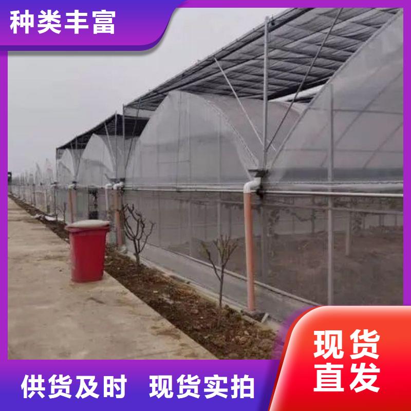 兴国县秋季冬季大棚可定制厂家直销大量现货