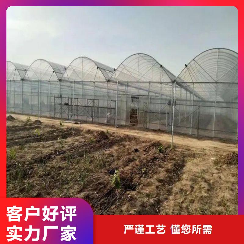 东区街道连体大棚管,制造厂家高品质现货销售