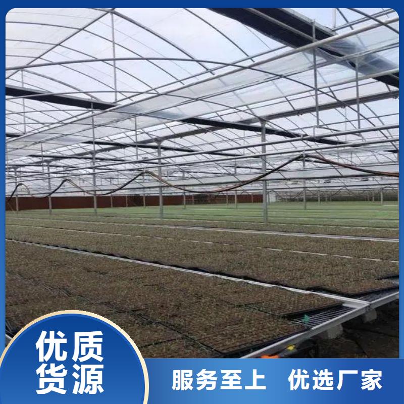 会昌镀锌大棚管实力雄厚同城供应商